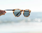 Adams Polarized Sunglasses