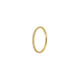Dainty Diamond Band
