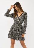 Dana Embroidered Tiered Mini Dress